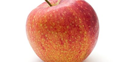 Høstens bedste æbletilbud